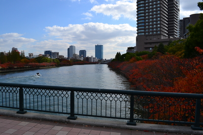 京都淀川２.JPGのサムネール画像