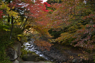 湯川の紅葉.JPGのサムネール画像