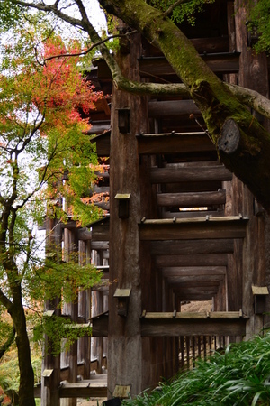 清水寺３.JPGのサムネール画像